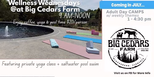 Wellness Wednesday + Adult Day Camp
