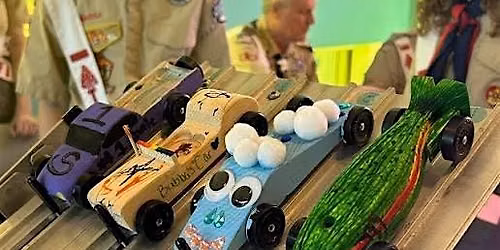 Ward Pinewood Derby