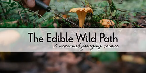 The Edible Wild Path: a seasonal foraging course