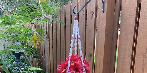 Macram\u00e9  Plant Hanger - Holiday Edition