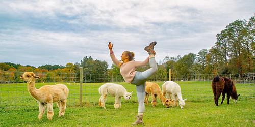 Yoga On The Farm