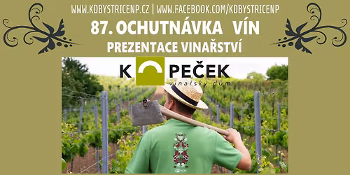 87. OCHUTN\u00c1VKA V\u00cdN