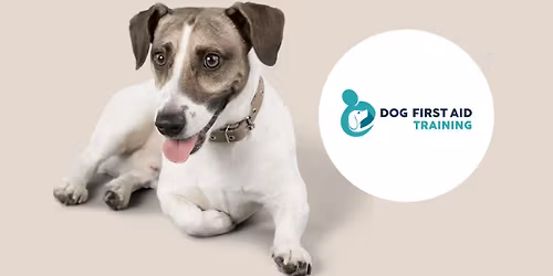 Weston-upon-Trent (Derby) Dog First Aid Training 