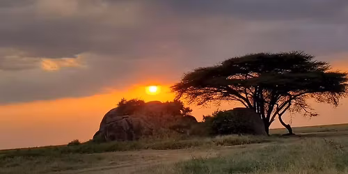 CapeTown & Jo\u2019burg Wine and  Spa Tour