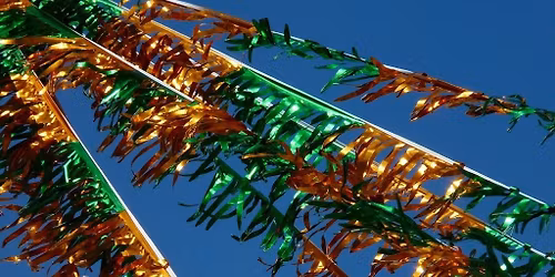 California Roots Festival SATURDAY