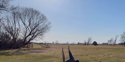Fall Equinox Yoga Flow & Ceramic Botanical Bowl with Staci Lamp and Elissa Wenthe