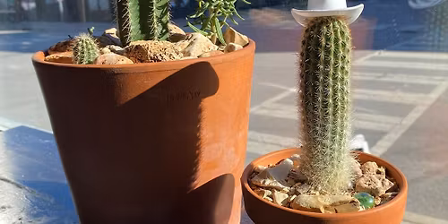 Succulent\/Cactus Arrangement Demo with Earthbeet Farms