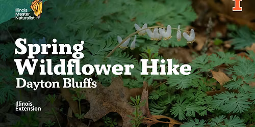 Spring Wildflower Hike - Dayton Bluffs Preserve