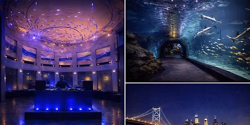 Spring Soir\u00e9e : Adventure Aquarium Takeover