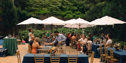 Vine to Glass: A Wine Tasting Experience