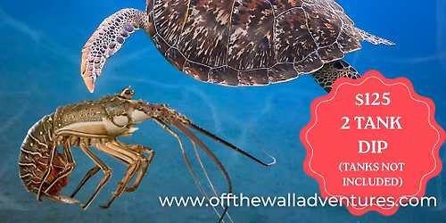 West Palm Lobster Hunt