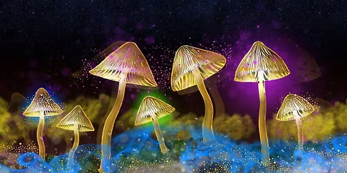 The Science of Psychedelics with Dr Sam Gandy