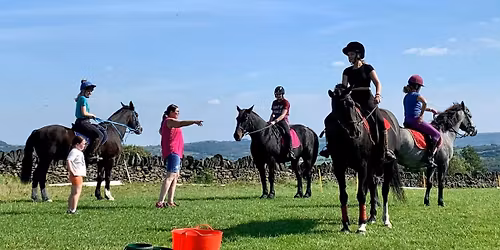 Working Equitation Clinic