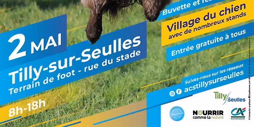 Concours d'agility - Tilly sur Seulles