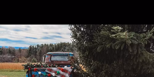 Christmas truck bed mini session with Santa .🎅🏻🎄🛻📸