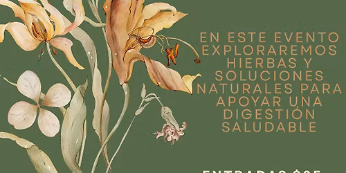 Hierbas Para La Digesti\u00f3n con Aris Romero