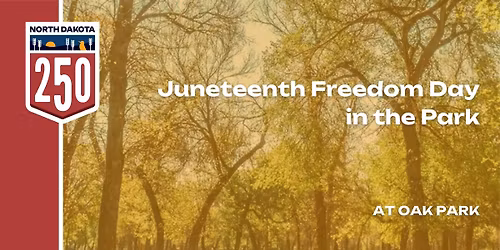 Juneteenth Freedom Day in the Park