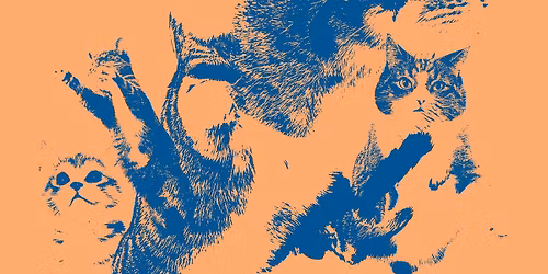 The Eurosuite + Glitter Guano Gang + Vitiligoes @La Cantine de Belleville \/\/ mercredi 12 novembre