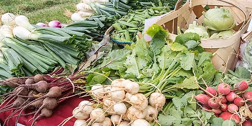 2026 Kentucky Fruit & Vegetable Conference