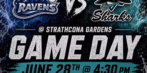 Ravens vs. Sharks