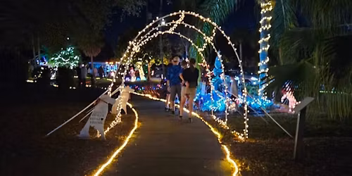 Holiday Lights Corgi Walk