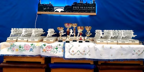 XXVI. SZILVESZTERI FUT\u00c1S