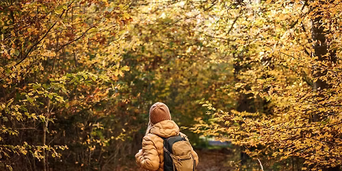 Forest Bathing: Mindful Nature Experience