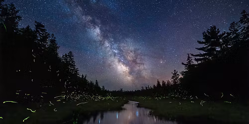 Mastering the Night Sky | Astrophotography Workshop