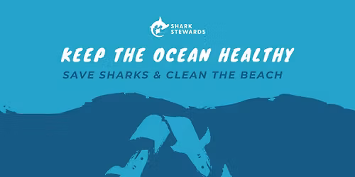 Cleanup and Monitoring- End of Year Celebration