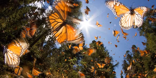 Psychic Development Workshop