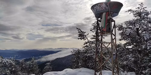 \u0412\u0440\u044a\u0445 \u041f\u0435\u0440\u0441\u0435\u043d\u043a \u0438 \u0427\u0443\u0434\u043d\u0438\u0442\u0435 \u043c\u043e\u0441\u0442\u043e\u0432\u0435