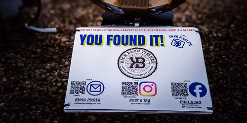 The Golden Egg Chase