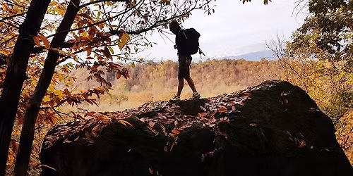 ESPLORAZIONI GIROOLA  RODODENDRI IN OASI ZEGNA 