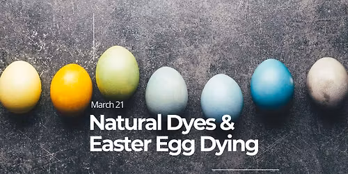 Homesteading Workshop 6 | Natural Dyes & Easter Egg Dying