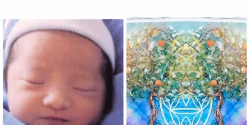 \u539f\u59cb\u53cd\u5c04\u7d71\u5408