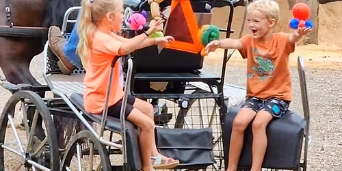 Little Riders Horse Camps (ages 6-9) at Mimosa Hills Farm