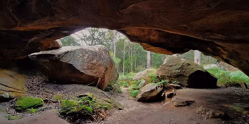 Kincumber Mountain Trail Run