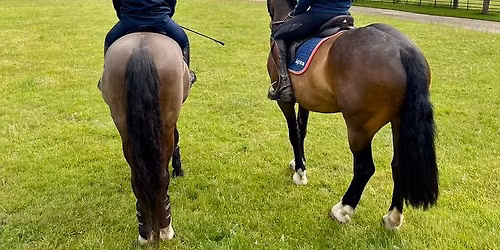 Cholsey Farm Riding Bluebell Ride