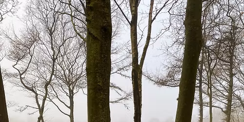 Spangsbjerg og Boldesager rundt