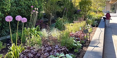 Protecting our Pollinators