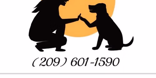 Dog Obedience Class 