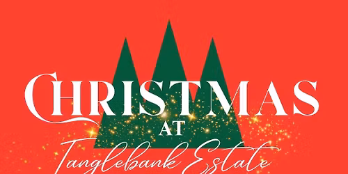 Christmas at Tanglebank \u2728