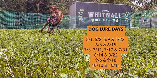 Dog Lure @ Whitnall Beer Garden