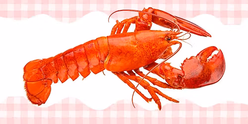 Takeout Lobster Supper