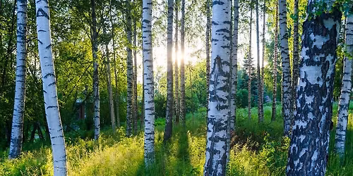 Vierailu Suolahuoneelle