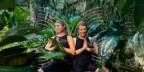 Yoga with the Butterflies