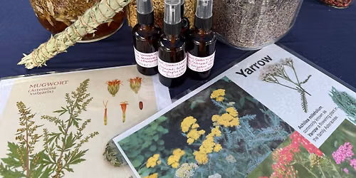 Herbal Kids Magic Camp - Session 2 