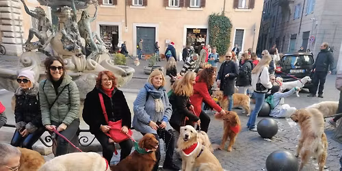 Natale con i Golden Retriever a Roma 2025