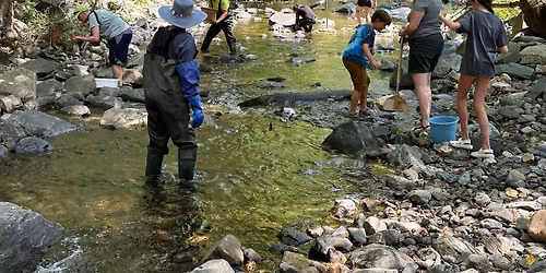 Go with the Flow - Community Stream Exploration