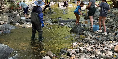 Go with the Flow - Community Stream Exploration